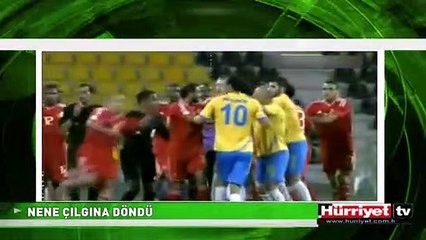 NENE ÇILGINA DÖNDÜ