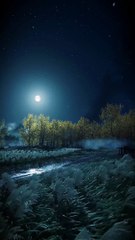 Natural Motion Video Natural Beauty Motion Video