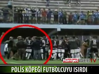 POLİS KÖPEĞİ FUTBOLCUYU ISIRDI