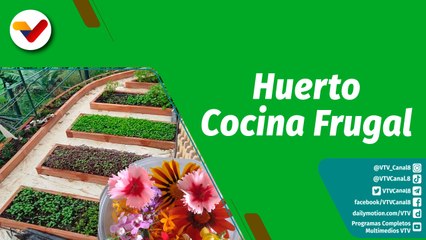 Cultivando Patria | Uso de las flores como elemento culinario, nutricional y medicinal