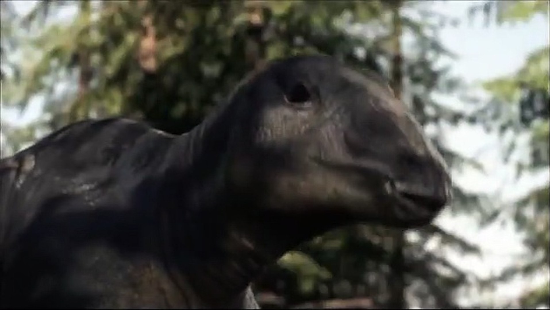 La Marche des dinosaures Bande-annonce (EN), image size:1914x1080