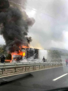 Tavuk yüklü tır alev alev yandı
