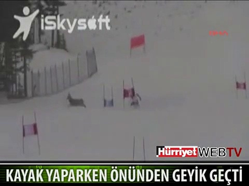 NEYE UĞRADIĞINI ŞAŞIRDI