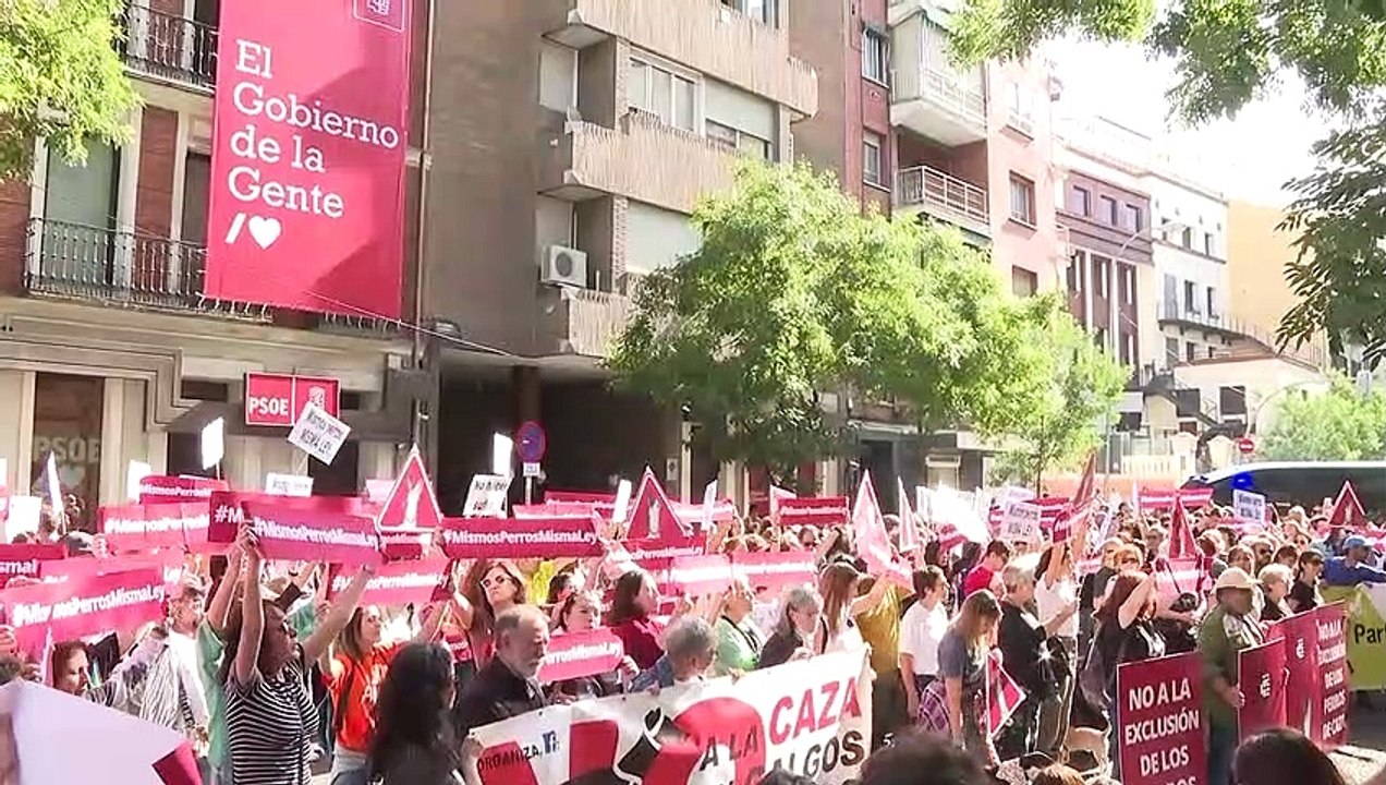 Animalistas denuncian la exclusión de perros de caza de la Ley de Protección Animal