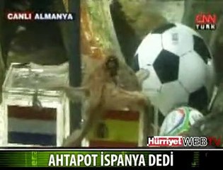 KAHİN AHTAPOT "İSPANYA" DEDİ