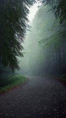 Waterfall natural Motion Video