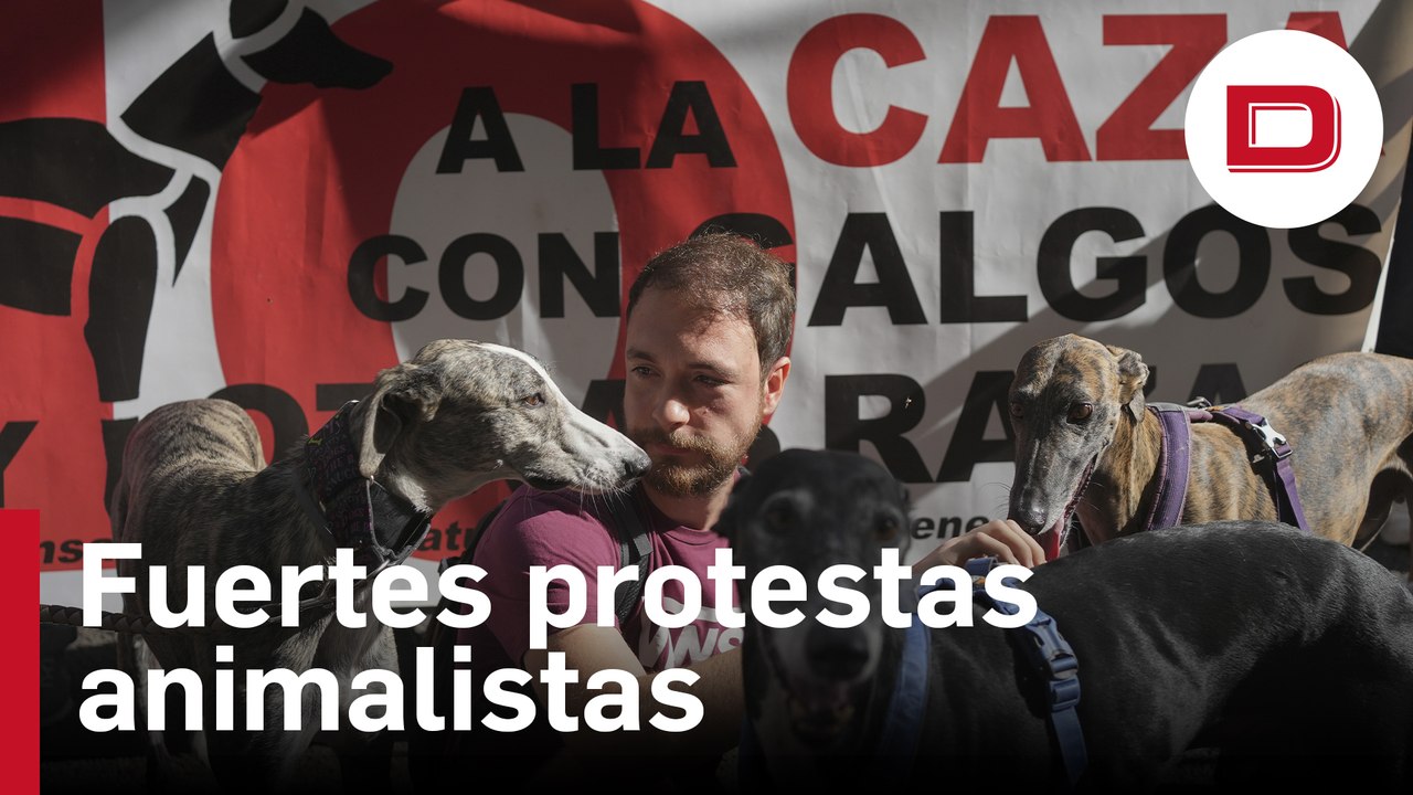 Fuertes protestas por parte de los animalistas por la Ley de Protección Animal