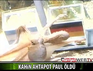 KAHİN AHTAPOT ÖLDÜ