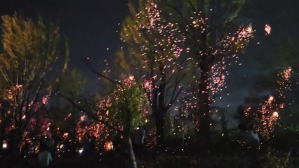 세종시 '낙화놀이' 행사장에서 3명 다쳐...병원 이송 / YTN