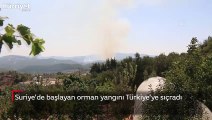Suriye'de başlayan orman yangını Türkiye'ye sıçradı