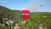 Sakarya’da orman yangını