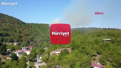 Sakarya’da orman yangını