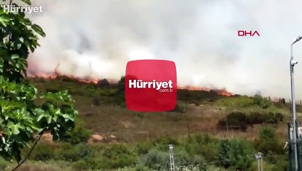 Tuzla'da otluk alanda yangın