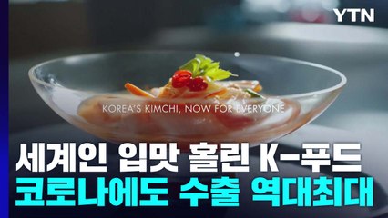 세계인 입맛 홀리는 K-푸드...코로나에도 수출액 역대 최대 / YTN