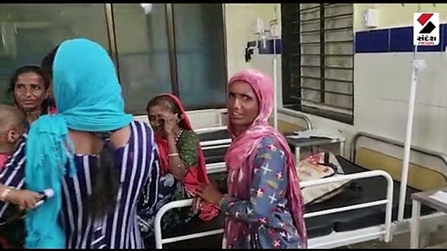 માણસા પાસે બે ST બસ વચ્ચે અકસ્માત, 25ને ઈજા, બે ગંભીર