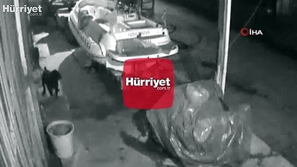 Marmaris'te Pitbull dehşeti...