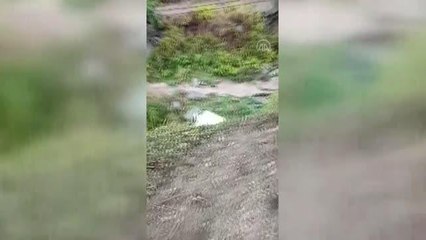 Devrilen minibüsteki 2 kişi yaralandı