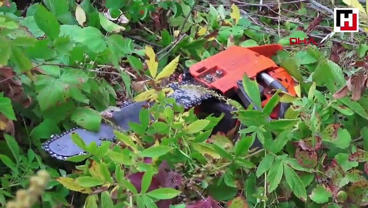 Kestiği ağacın altında kalarak öldü