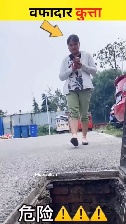 kutte ne bachai Jaan