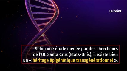 Comment les événements arrivés à vos grands-parents affectent vos gènes