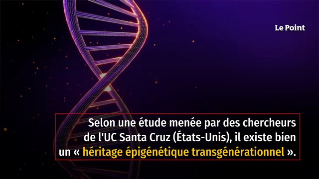 Comment les événements arrivés à vos grands-parents affectent vos gènes