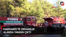 Marmaris'te ormanlık alanda yangın çıktı