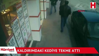 Kaldırımdaki kediye tekme attı