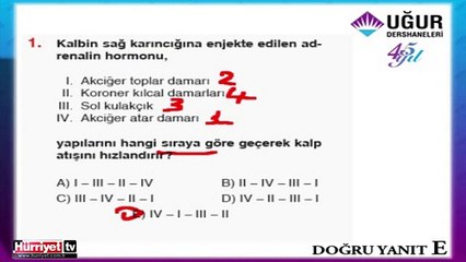 BİYOLOJİ SORULARININ ÇÖZÜMLERİ