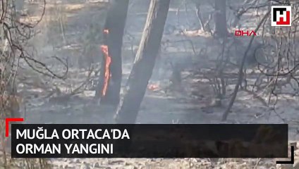 Muğla Ortaca'da orman yangını