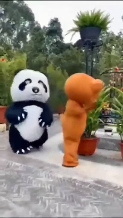 funny panda kick 