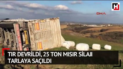 TIR devrildi, 25 ton mısır silajı tarlaya saçıldı