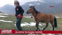 Van'ın Övecek köyünde tek başına yaşıyor