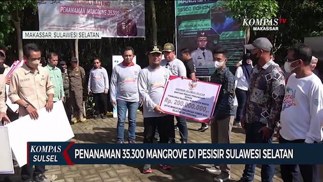 Pemprov Sulsel Lakukan Penanaman 35.300 mangrove di pesisir sulawesi selatan