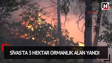 Sivas'ta 3 hektar ormanlık alan yandı