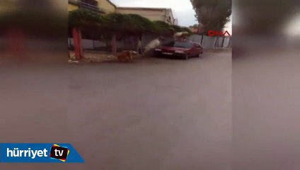 İzmir'de şaşkına çeviren görüntü