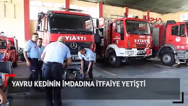 Yavru kedinin imdadına itfaiye yetişti