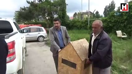 Yaralı toy kuşu koruma altına alındı