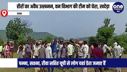 पन्ना में हीरों के लालच में हजारों लोग कर रहे अवैध उत्खनन, वन विभाग की टीम को डरा-धमकाकर खदेड़ा