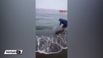 Vatandaşlar kıyıya vuran 'yunus'u kurtardı