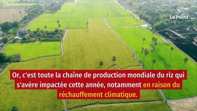 Après la moutarde, une pénurie de riz se profile