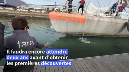 La goélette scientifique Tara de retour après un périple de 70.000 km