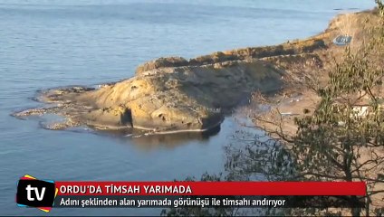 Ordu'da timsaha benzeyen yarımada şaşırtıyor