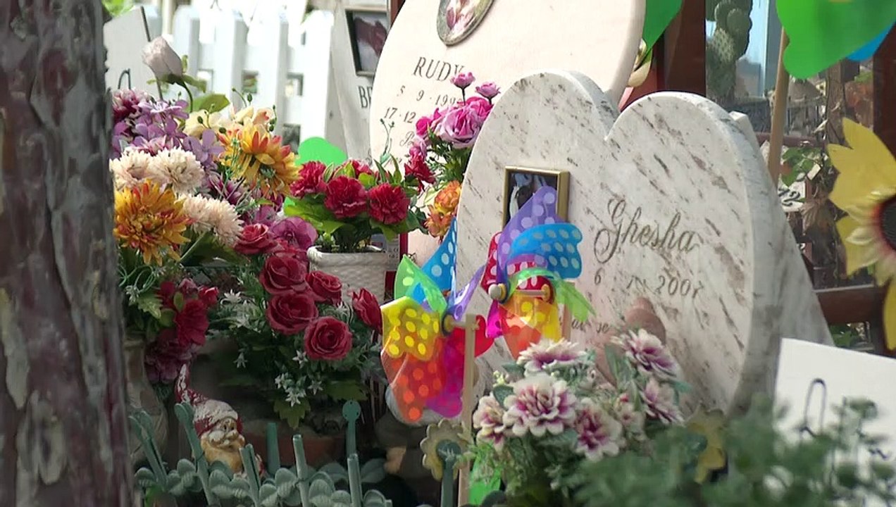 Italie: à Rome, le plus ancien cimetière pour a...
