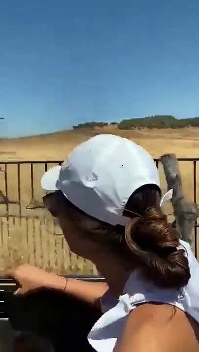 Não contavam com a cancela aberta e acabaram por levar com a fúria de um touro