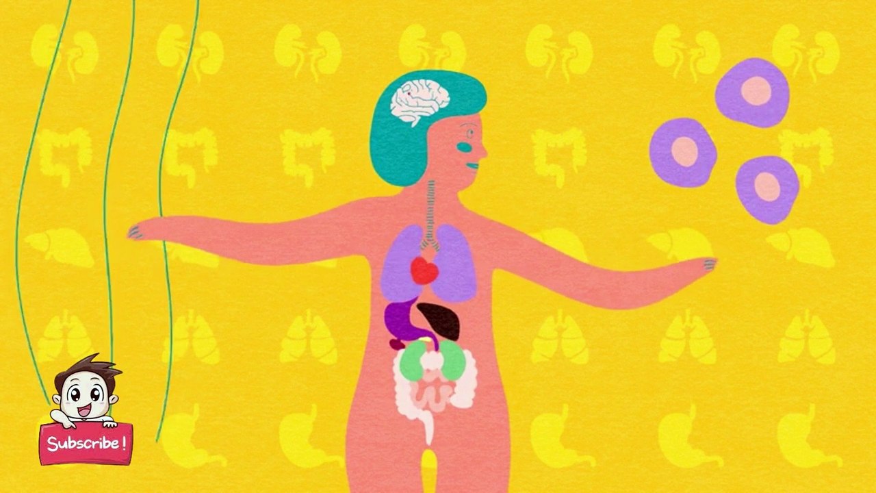 Can Exercise Actually "Boost" Your Metabolism? | Body Stuff with Dr. Jen Gunter |