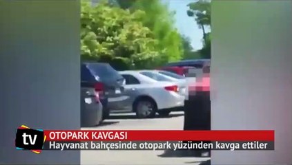 Otopark yüzünden kadınlar birbirine girdi