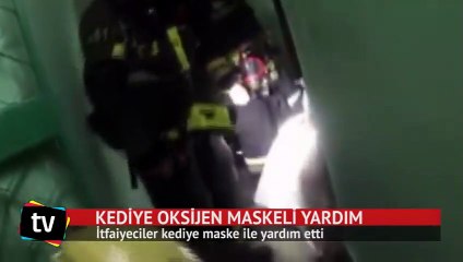 Kediyi oksijen maskesi ile kurtardılar