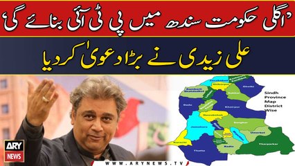 PTI will form next Government in Sindh: Ali Zaidi