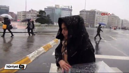 Sokak köpeğine şemsiye tuttu