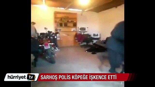 Sarhoş polis köpeğe işkence etti